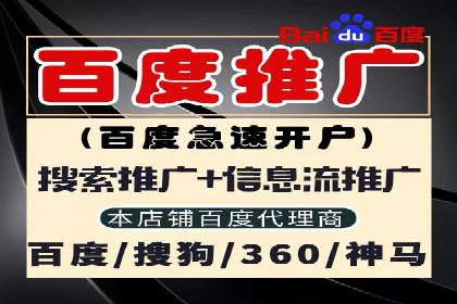 SEM优化策略：实战案例解析
